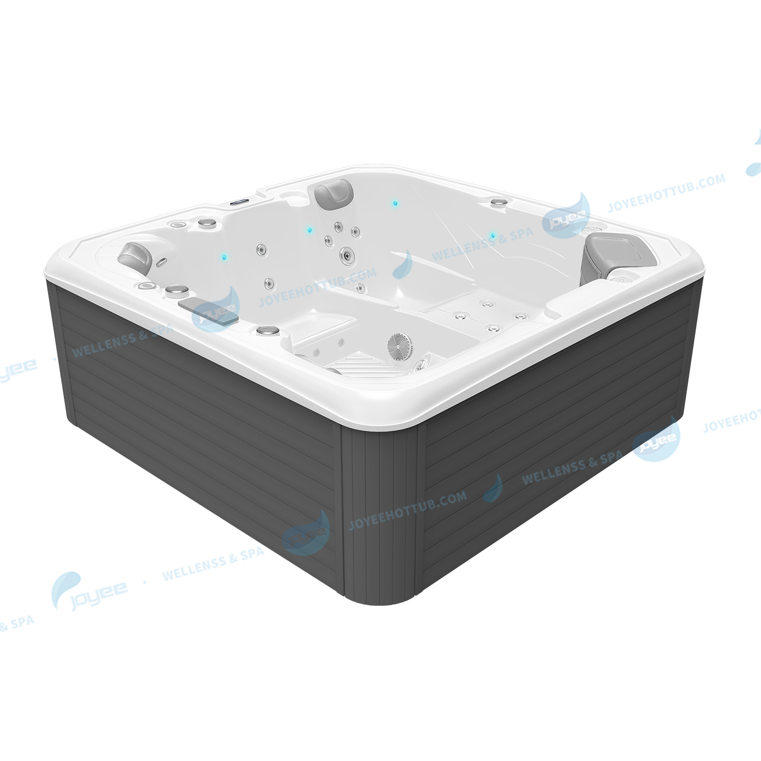 Spa Hot Tub