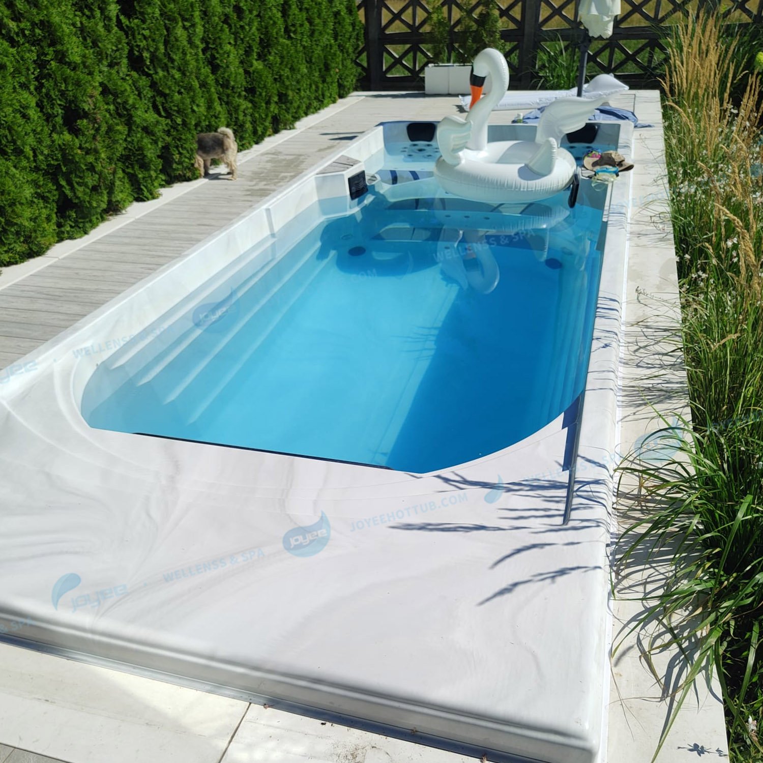 endless spa pool